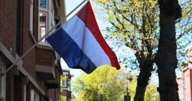 Нідерланди про допомогу Україні у 2024 році