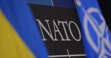 Стефанішина про вступ України до НАТО