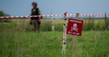збитки сільського господарства від війни