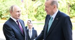 Ердоган про зустріч з Путіним