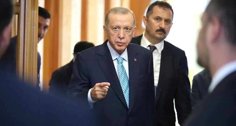 Ердоган про зрив зернової угоди