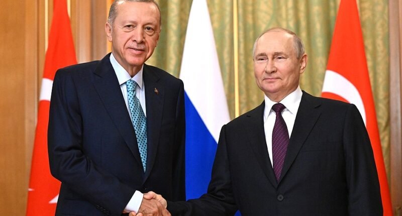 Ердоган з Путіним про зернову угоду