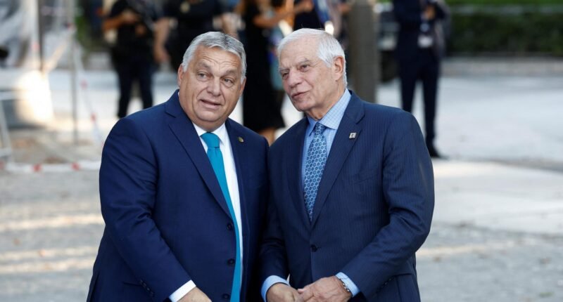 Глава дипломатії ЄС Жозеп Боррель і прем’єр-міністр Угорщини Віктор Орбан