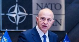 Заступник генерального секретаря НАТО Мірчі Джоане