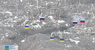 розстріл українських бійців
