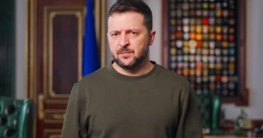 Зеленський про призначення Литвиненка і звільнення Данілова