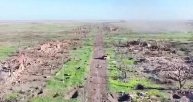 Знищене село Роботине на Запоріжжі