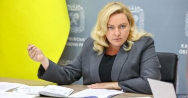 НАЗК про декларацію голови Харківської ОВА